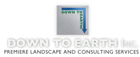 Down to Earth Inc- Premier Landscape and Consulting Services