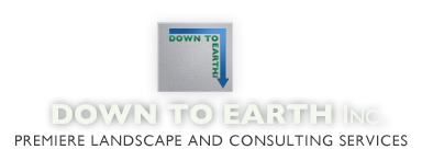 Down to Earth Inc- Premier Landscape and Consulting Services